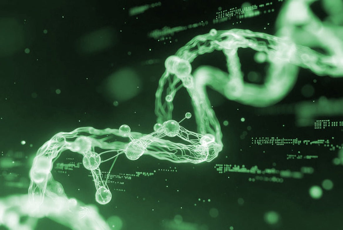 Best Research Peptides for Muscle Growth and Recovery - Quickpen Pro Peptides