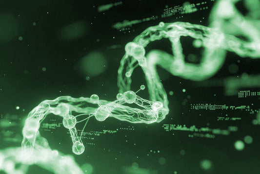 Best Research Peptides for Muscle Growth and Recovery - Quickpen Pro Peptides